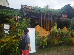 -Jungle Kitchen