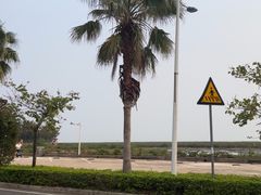 -北海金海湾红树林生态旅游区