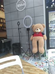 -Sugar Hair Salon