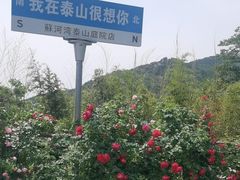 -蘇河湾·新鲁菜·泰山宴(泰山店)