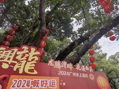 -荔湾湖公园