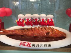 -阿五黄河大鲤鱼(英协路店)