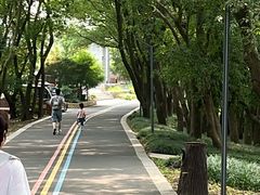 -同里国家湿地公园