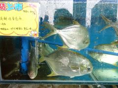 -蚝专家(北滘店)