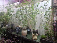 -花鸟鱼虫鲜花绿植市场(玉泉路店)