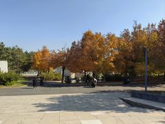 -长春世界雕塑园冰雪艺术天地