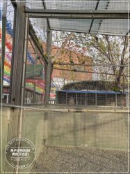 -萌宠亲子动物乐园(槐房万达店)