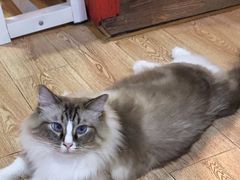 -白兔子密室(长寿路店)