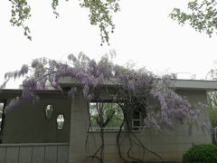 -巷子深菜馆(新华路店)