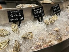 -Oyster Talks 四度蚝法餐厅