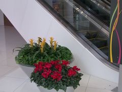 -百盛(莘庄店)