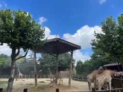 -上海野生动物园