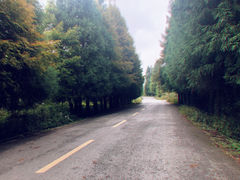 -山王坪喀斯特国家生态公园