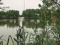 -长兴太湖图影湿地文化园