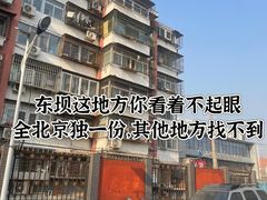 -北京派仕佳德动物医院·超导核磁·CT·神经科·骨科·内外科·急重症管理中心