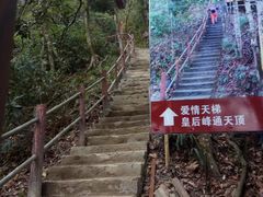 -金子山原生态旅游风景区
