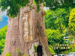 -青青世界