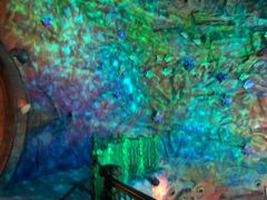 -青岛嘉年华主题乐园