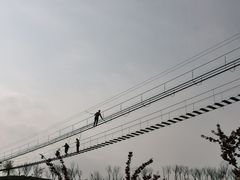 -绵阳盛世樱花悠乐谷