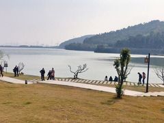 -宁波富邦荪湖山庄