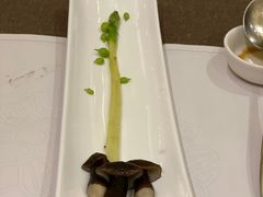 -天目湖涵田半山温泉