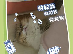 -上海尚嘉中心