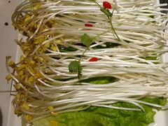 -万和源炝锅城·活鱼现炝(文艺北路店)