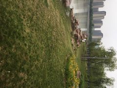 iphone_upload_pic-南翔镇银翔湖公园