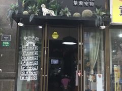 -挚爱宠物(长江南路店)