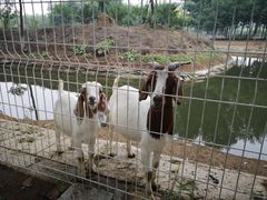 -东郊湿地公园