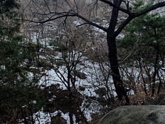 -北京鹫峰国家森林公园