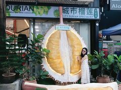 -都念榴莲·城市榴莲