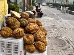 -百果园PAGODA(沿海赛洛城店)