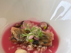 -慈云斋·24节气素食