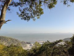 -陈岱后山窑鸡店