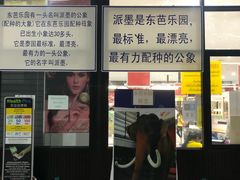 -东芭乐园