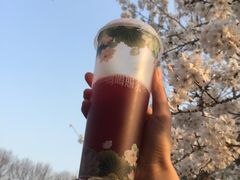 -鸡鸣赐茶(鸡鸣寺路店)