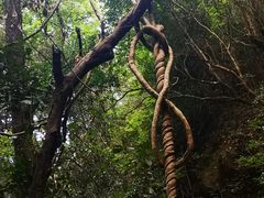 -昆明青龙峡风景区