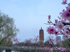 -西海子公园