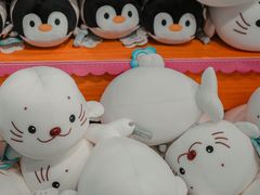 -海合安成都极地海洋公园