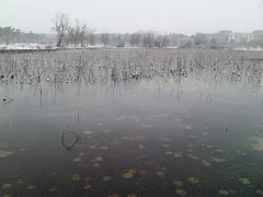 -安庆师范大学(龙山校区)