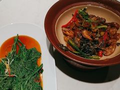 -杨氏青龙虾·羊蝎子(金盛路总店)