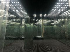 -迷斯伍德星空博物馆