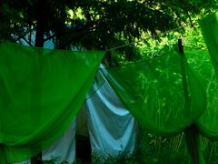 -北仑森林植物园