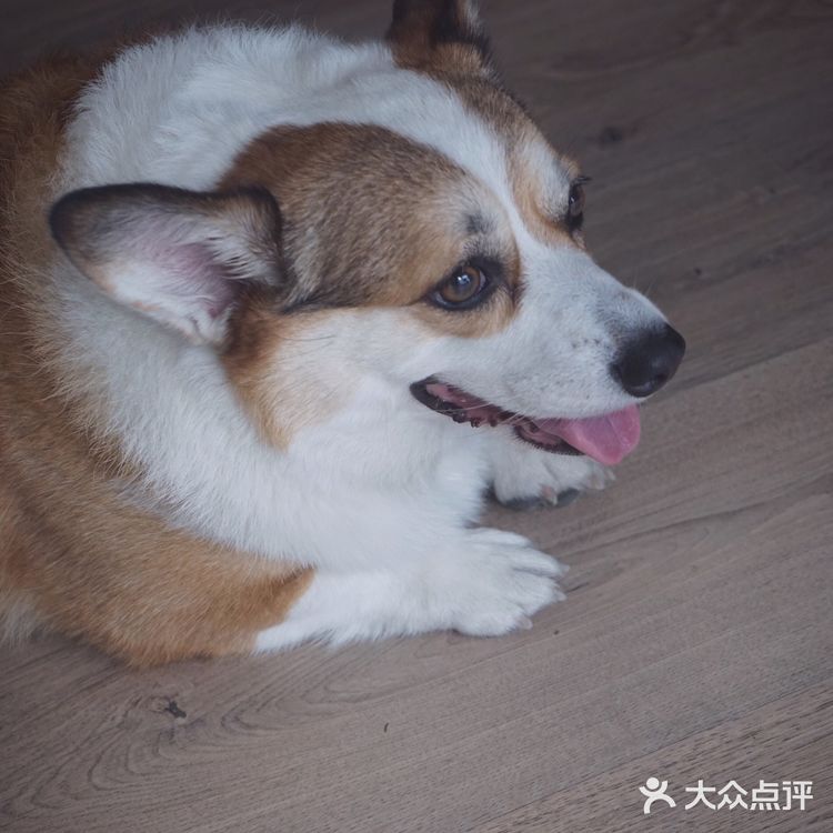 有些人要常相见，抹茶也是