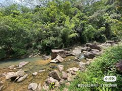 -广州白江湖森林公园