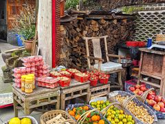 -青城甲(青城山店)