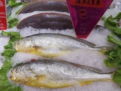-宝燕壹号(徐汇店)