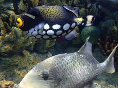 -福州罗源湾海洋世界旅游区