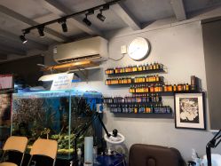 点击看大图 -MDZ STORE·TATTOO·耳饰